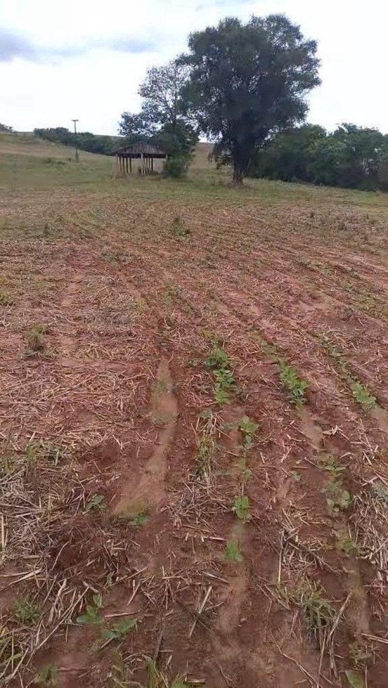 Propriedade rural - Foto 1